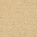 p003P Champagne (polished)