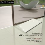 e53P irish white