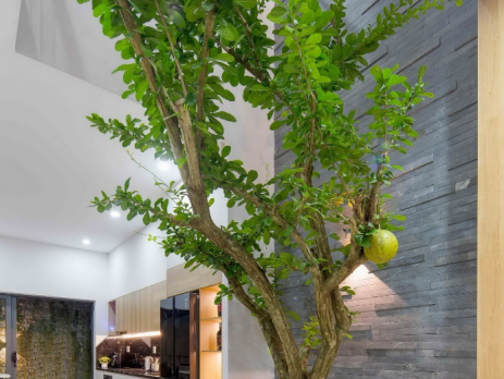 Unveiling the 7 Tile Trends of 2024 that Redefine Modern Living Spaces