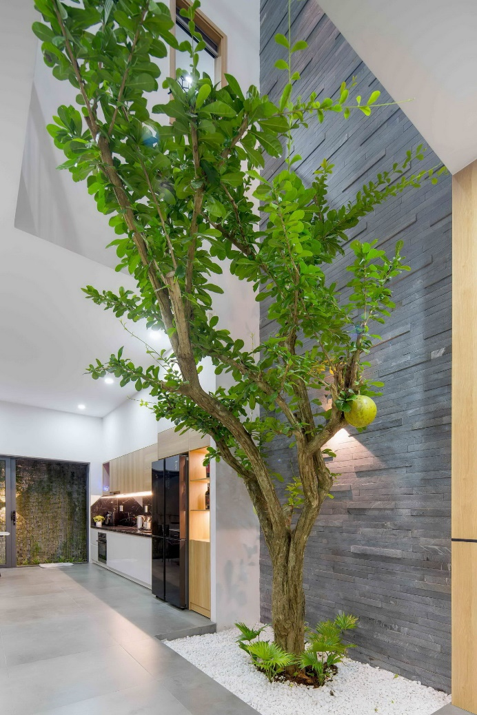 Unveiling the 7 Tile Trends of 2024 that Redefine Modern Living Spaces