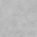 c0042Z Shizen Beet