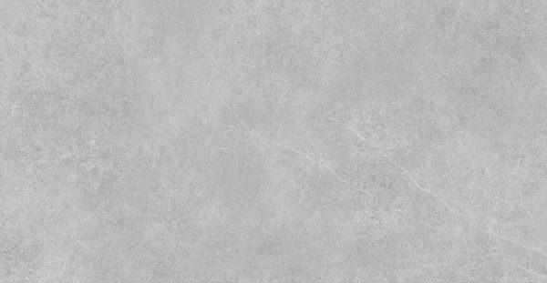c0042Z Shizen Beet