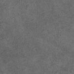 c0043Z Shizen Raven